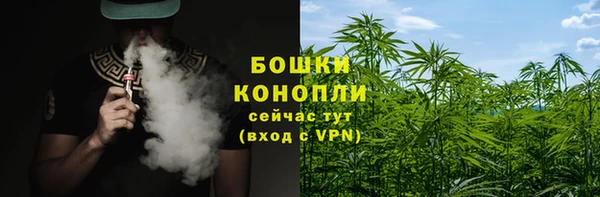 дурь Верея
