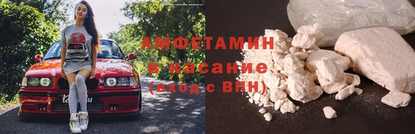 твердый Туринск