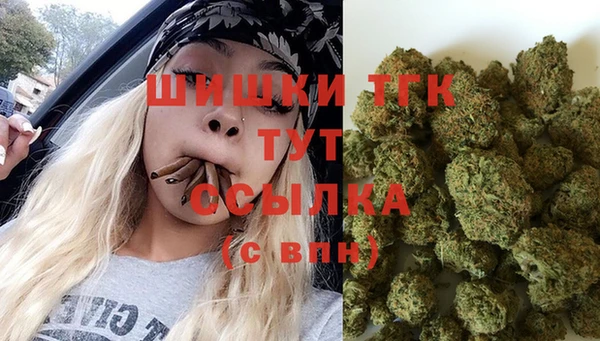 дурь Верея