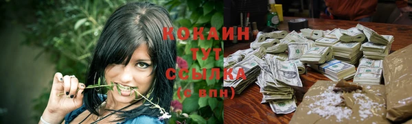 твердый Верхний Тагил